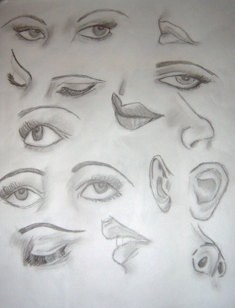 Facial Features Drawing 37