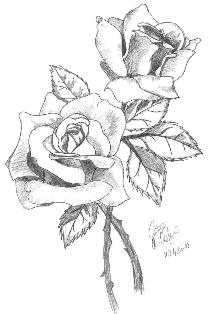 RosesShaded by Ashton18 on