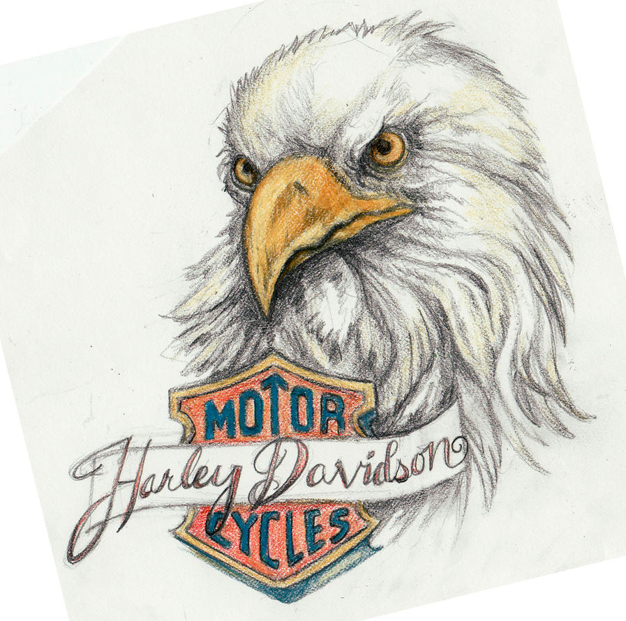 harley eagle tattoo art by