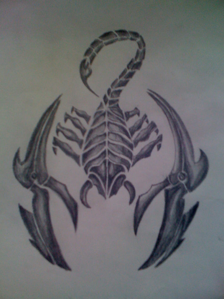 Scorpion Tattoo Sketch by