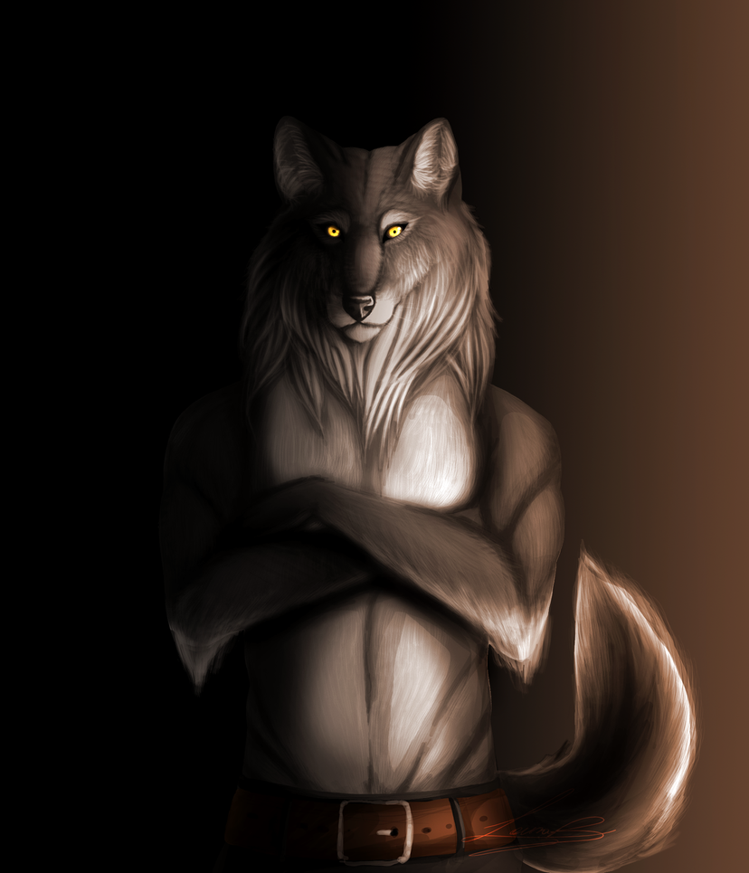 [Image: anthro_wolf_by_z_m_o_r_a-d67idda.png]