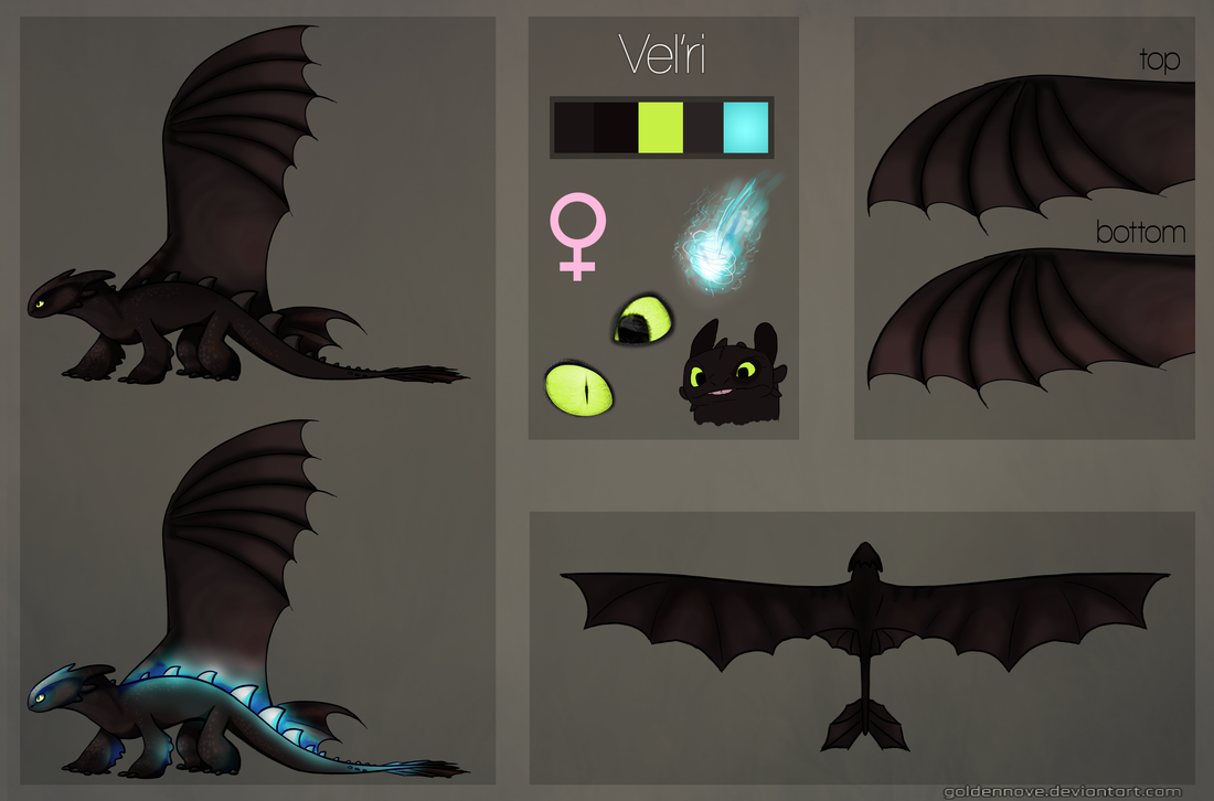 vel_ri_reference_sheet_by_goldennove-d875y2r.png
