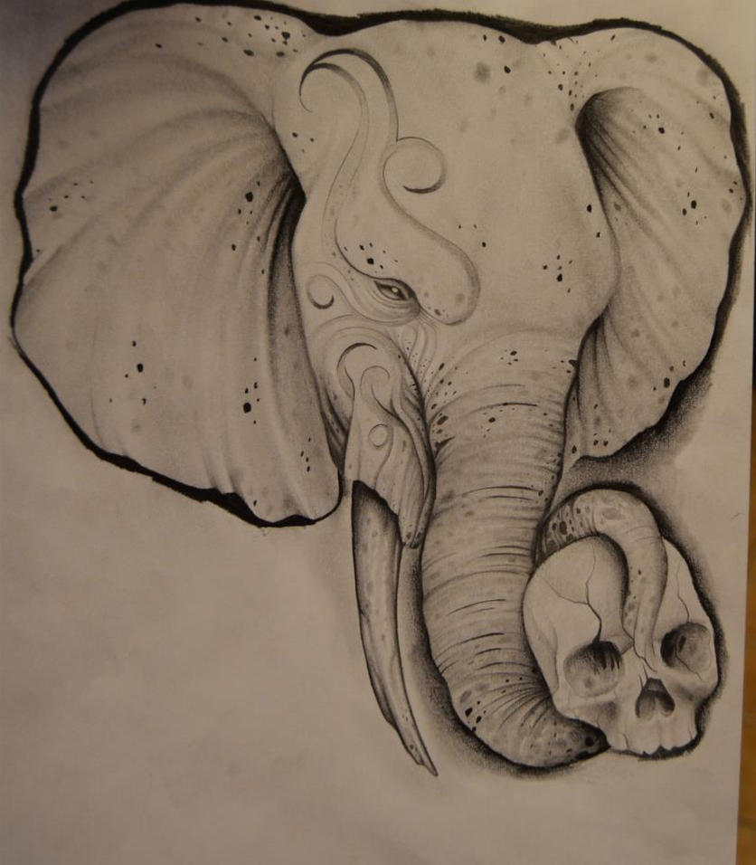 elephant drawings