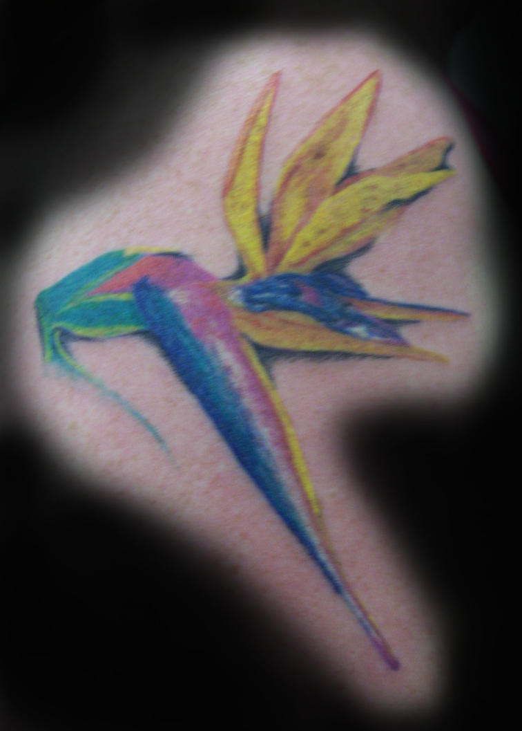 Bird of Paradise Flower - flower tattoo