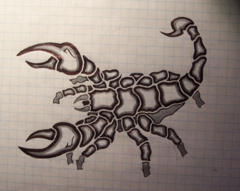 tribal scorpion 2tone by